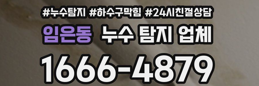 임은동 누수 탐지 업체