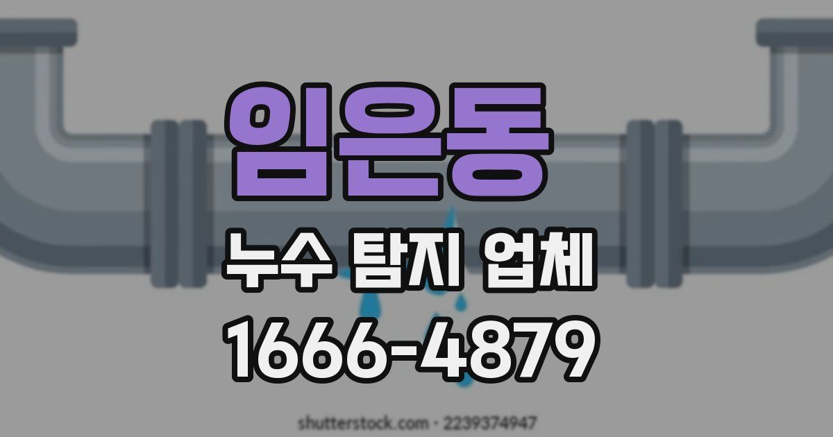 임은동 누수 탐지 업체