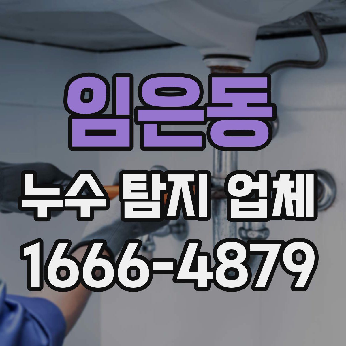 임은동 누수 탐지 업체