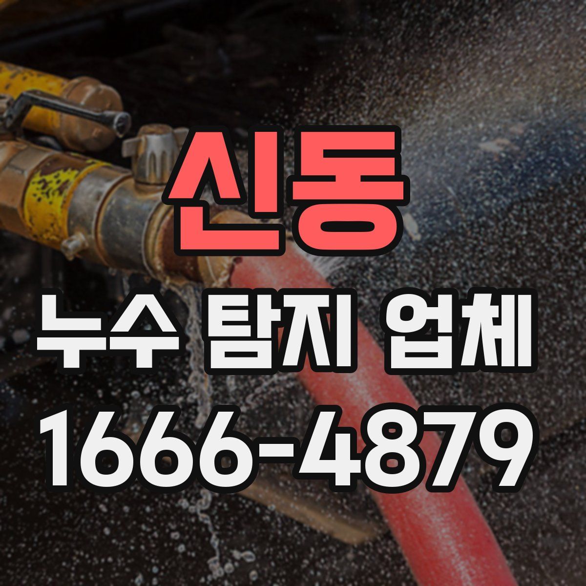 신동 누수 탐지 업체
