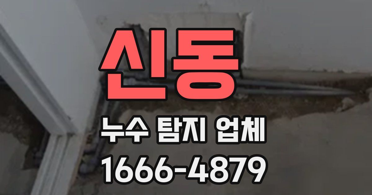 신동 누수 탐지 업체