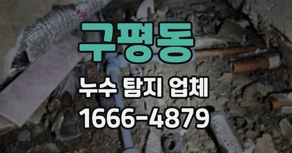 구평동 누수 탐지 업체