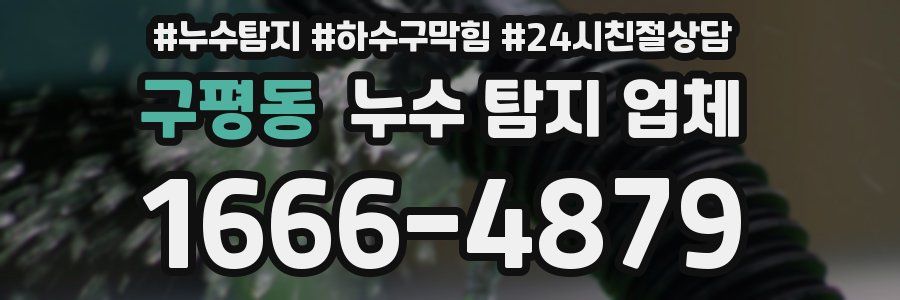 구평동 누수 탐지 업체