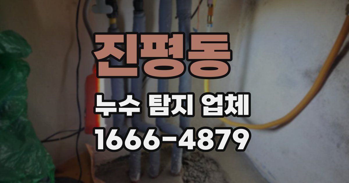 진평동 누수 탐지 업체