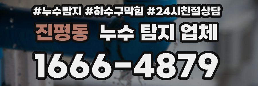 진평동 누수 탐지 업체