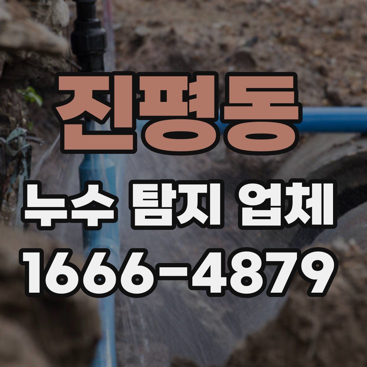 진평동 누수 탐지 업체