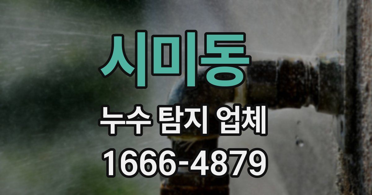 시미동 누수 탐지 업체