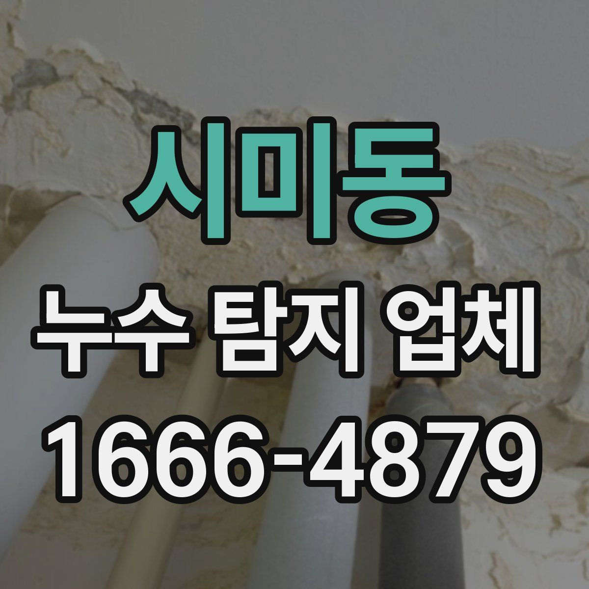 시미동 누수 탐지 업체