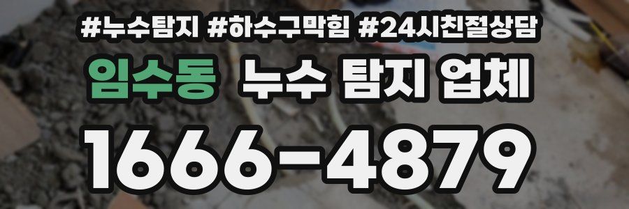 임수동 누수 탐지 업체