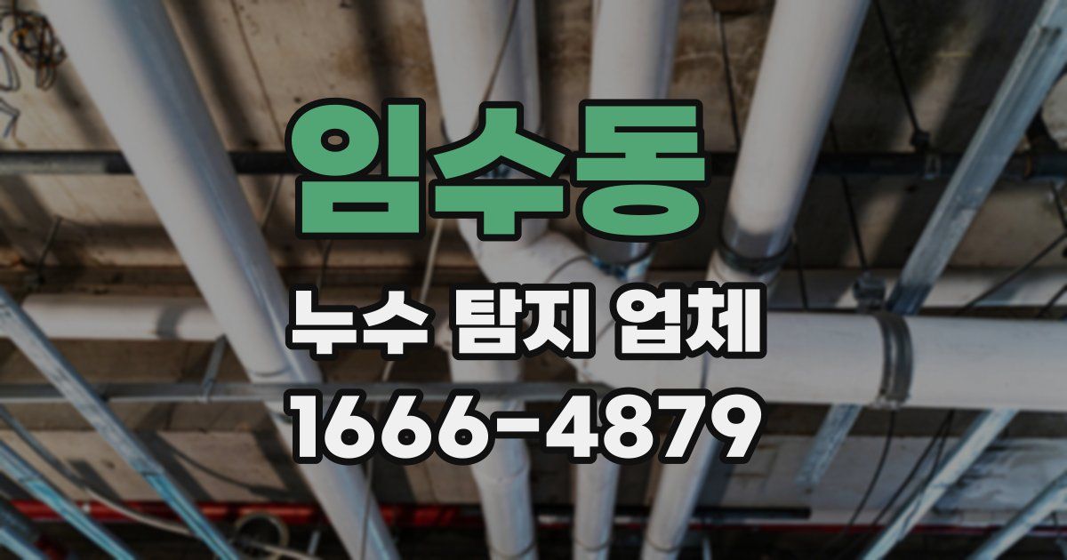 임수동 누수 탐지 업체