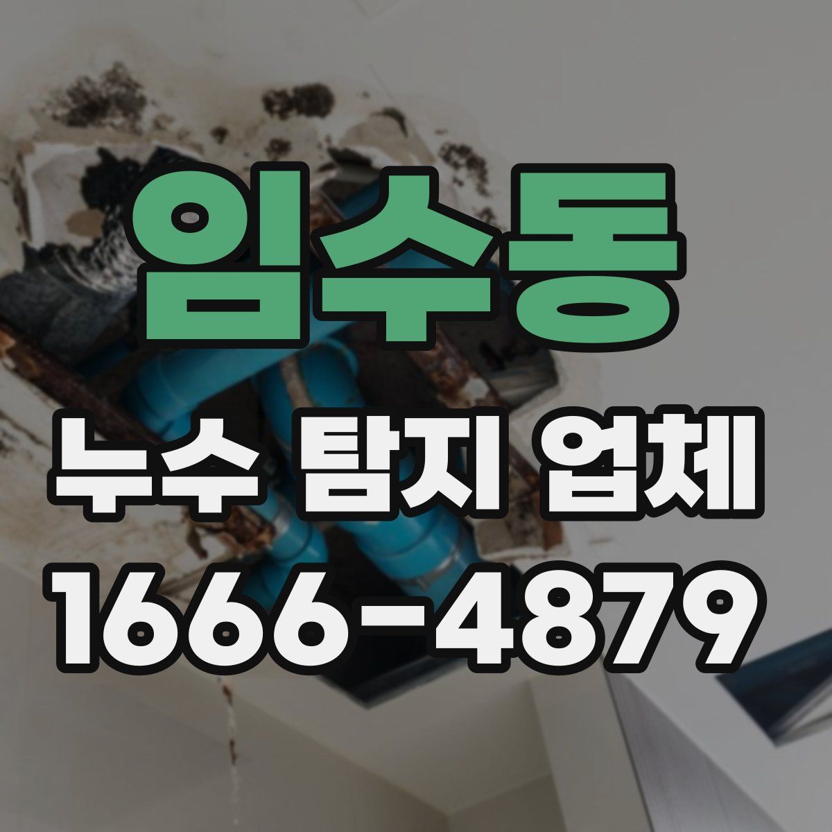 임수동 누수 탐지 업체