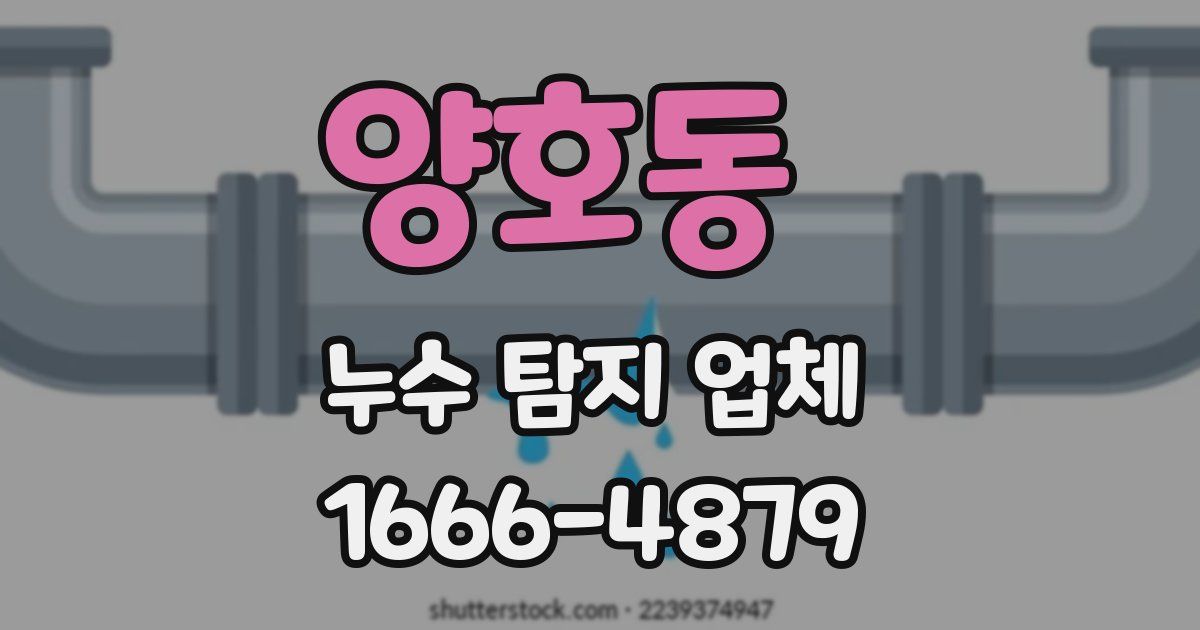 양호동 누수 탐지 업체
