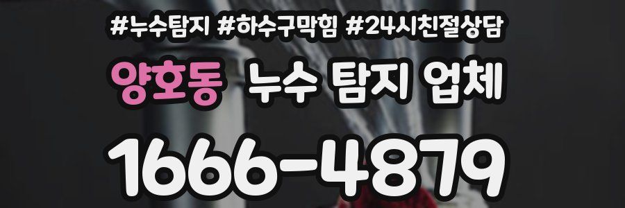 양호동 누수 탐지 업체