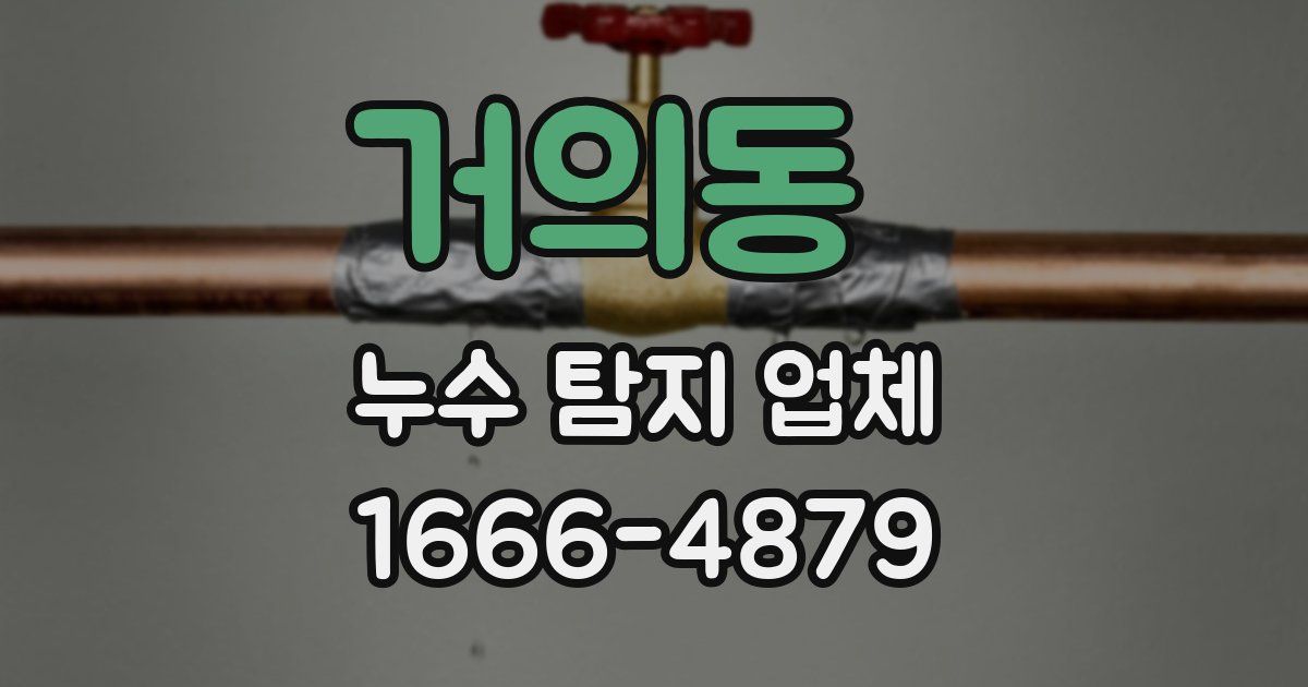 거의동 누수 탐지 업체