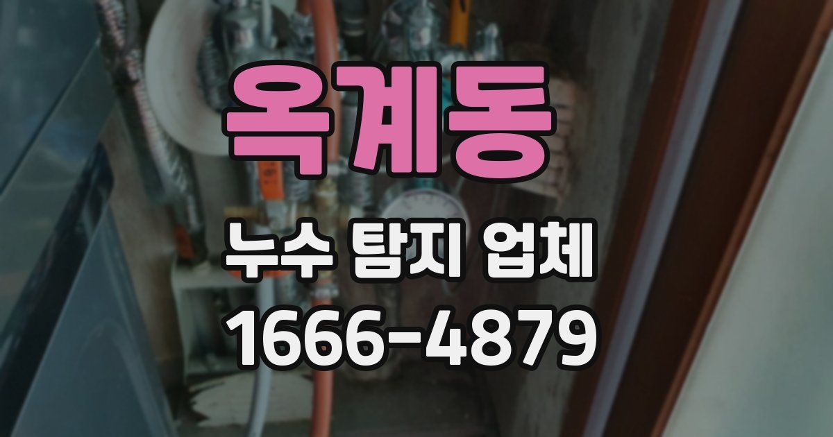 옥계동 누수 탐지 업체