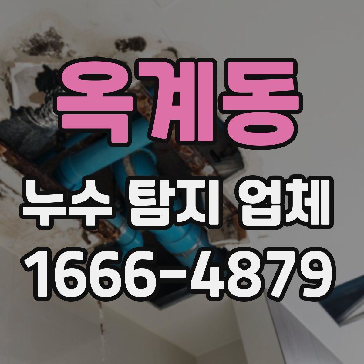 옥계동 누수 탐지 업체