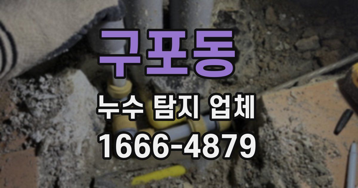 구포동 누수 탐지 업체