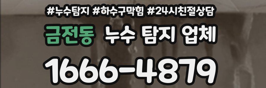 금전동 누수 탐지 업체