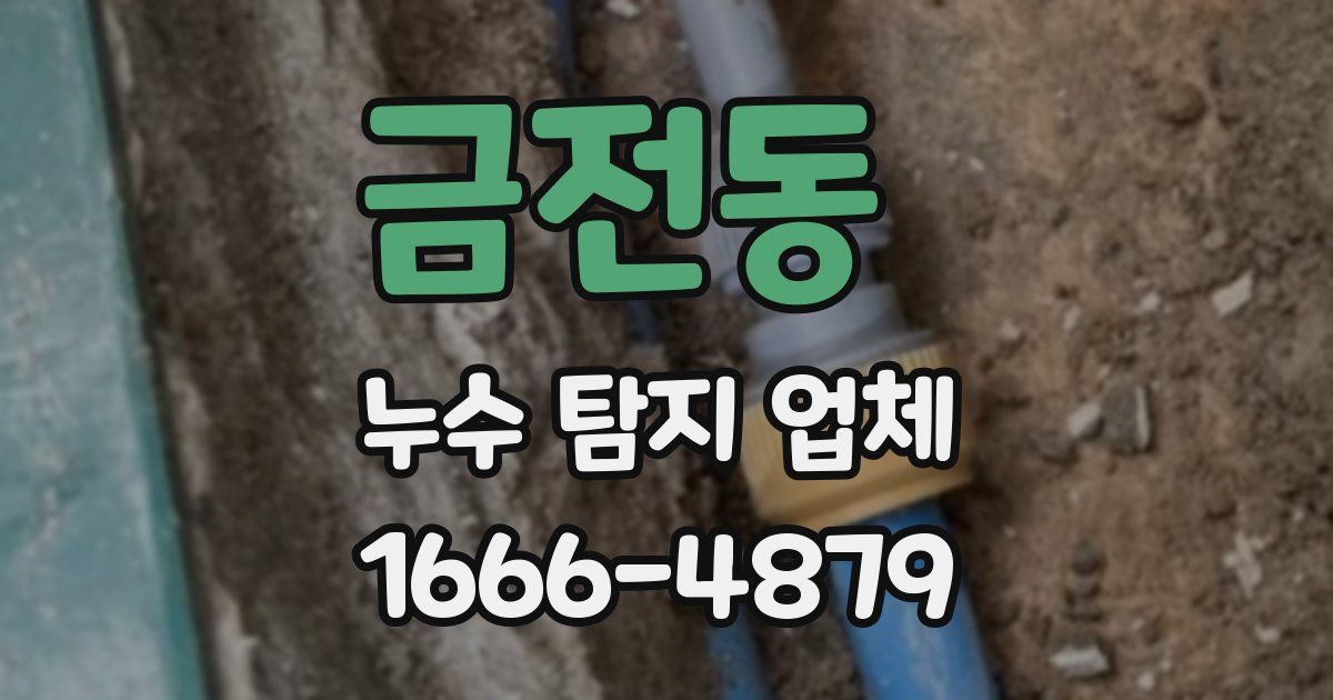 금전동 누수 탐지 업체