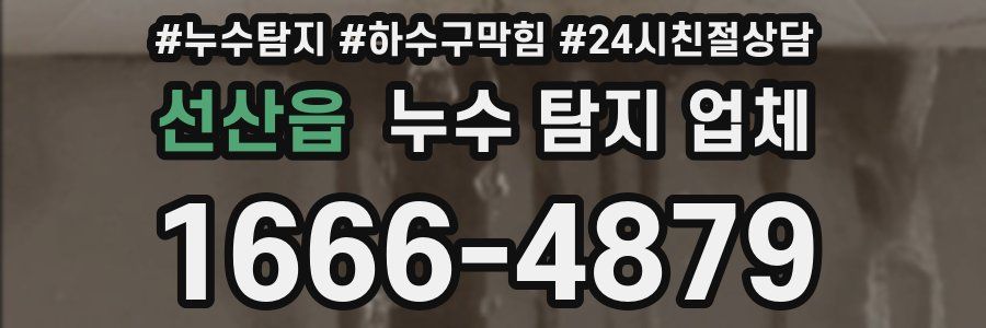 선산읍 누수 탐지 업체
