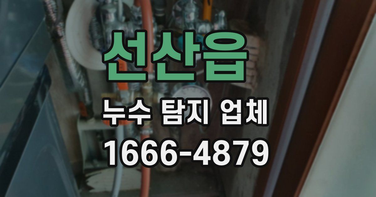 선산읍 누수 탐지 업체