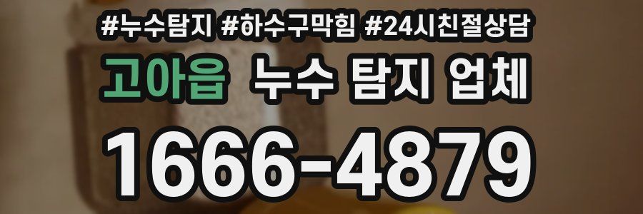 고아읍 누수 탐지 업체