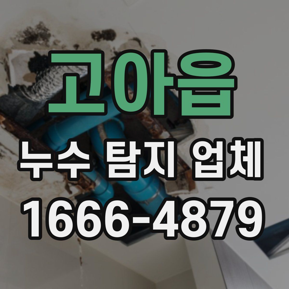 고아읍 누수 탐지 업체