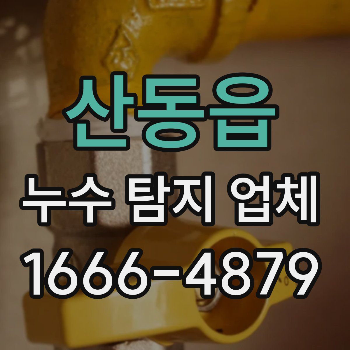 산동읍 누수 탐지 업체