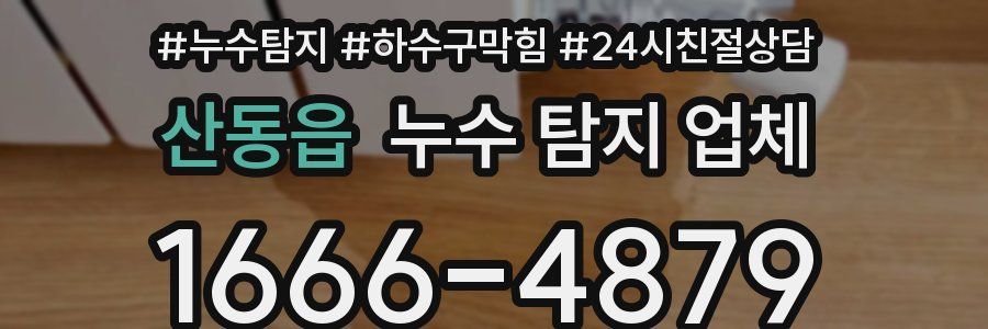 산동읍 누수 탐지 업체