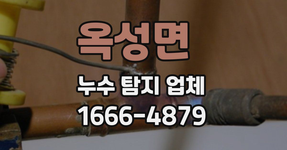 옥성면 누수 탐지 업체