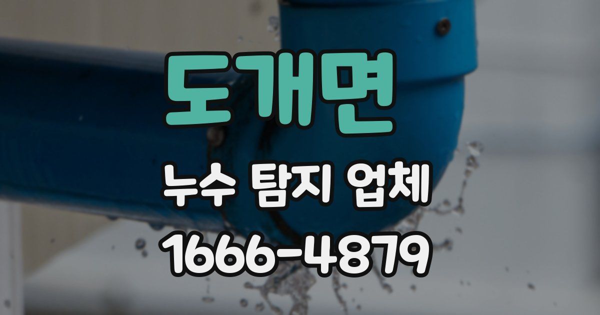 도개면 누수 탐지 업체