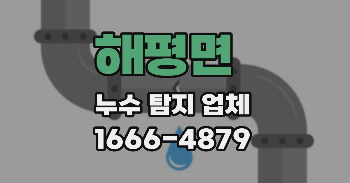 해평면 누수 탐지 업체