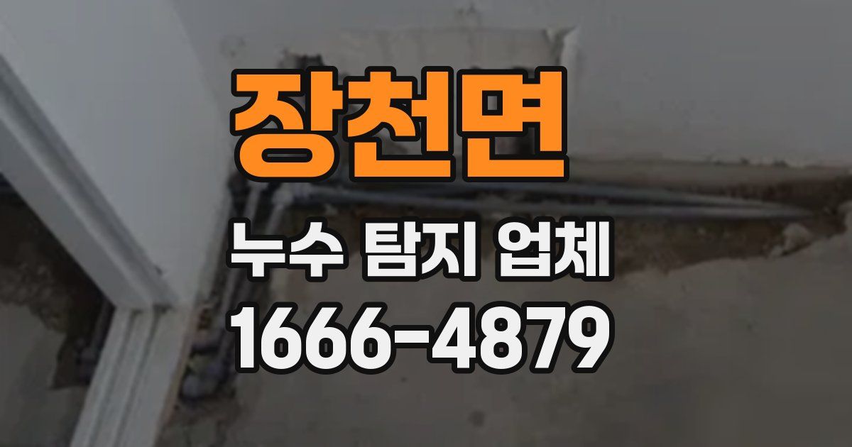 장천면 누수 탐지 업체