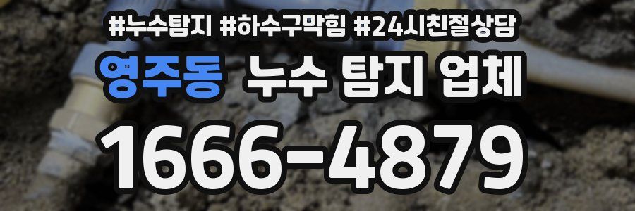 영주동 누수 탐지 업체