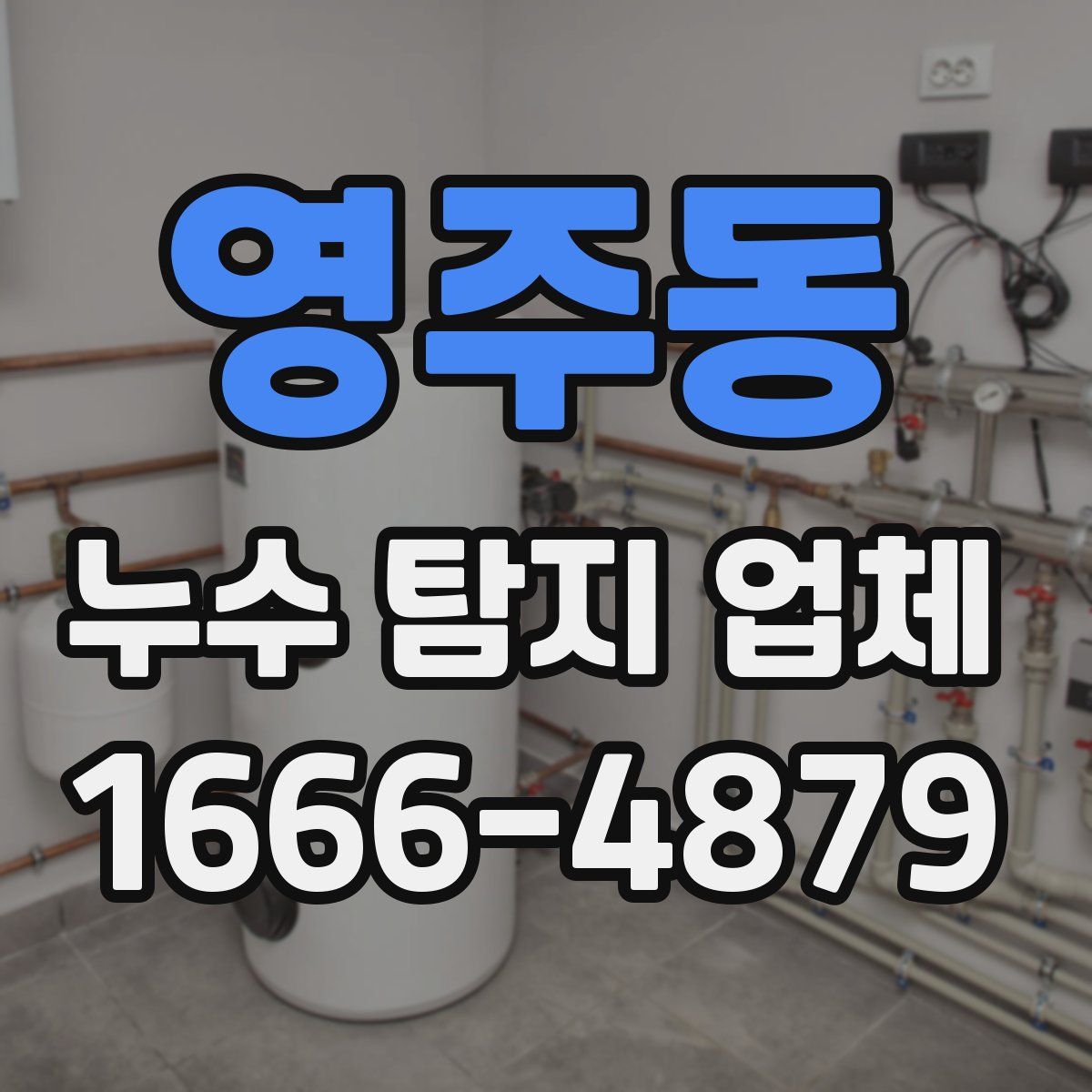 영주동 누수 탐지 업체