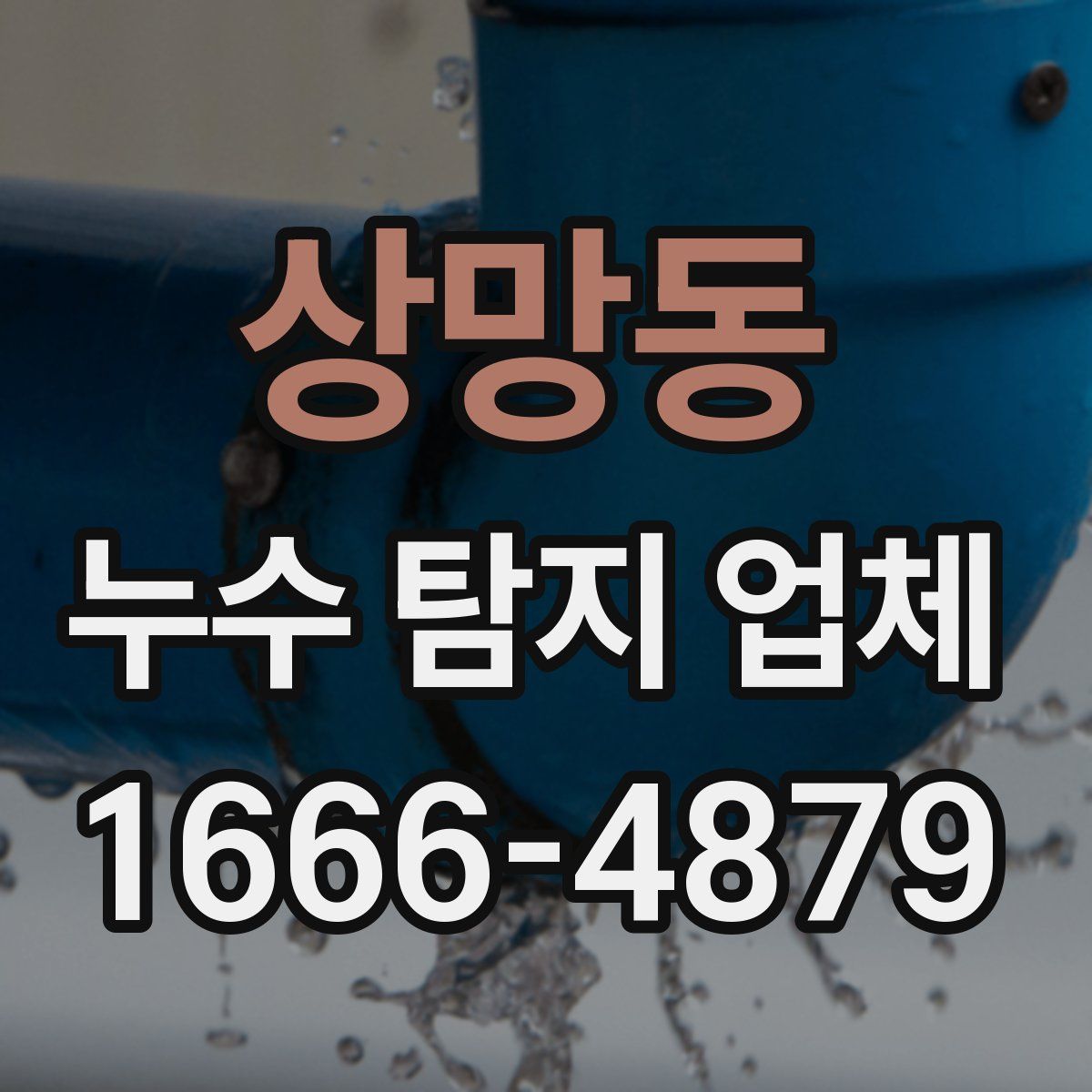 상망동 누수 탐지 업체