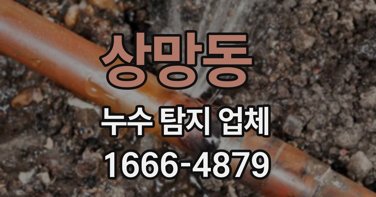 상망동 누수 탐지 업체