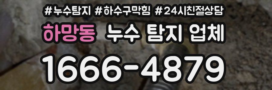 하망동 누수 탐지 업체