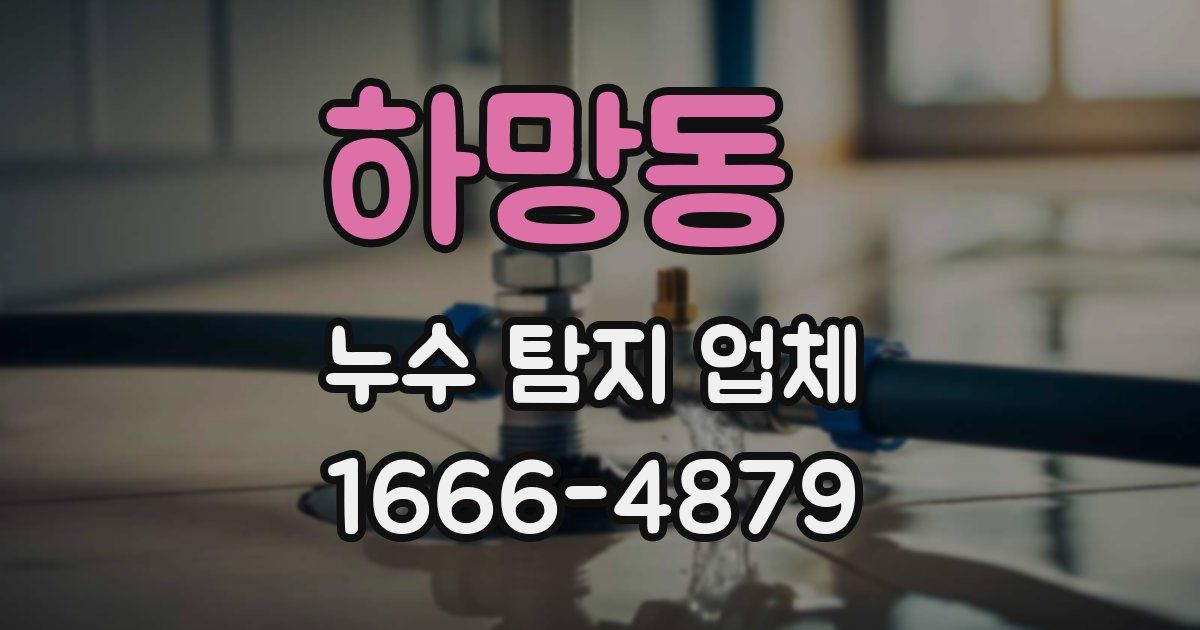 하망동 누수 탐지 업체
