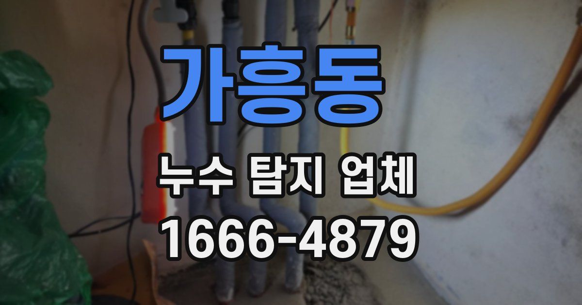 가흥동 누수 탐지 업체