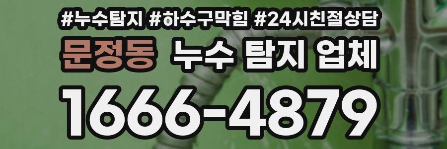 문정동 누수 탐지 업체