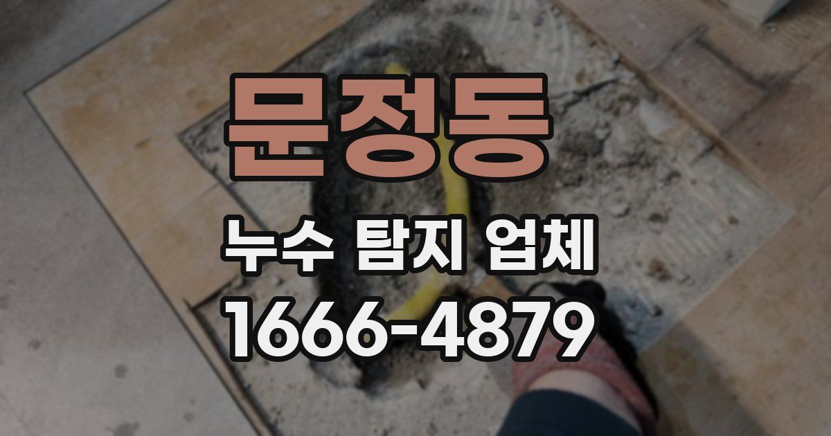 문정동 누수 탐지 업체
