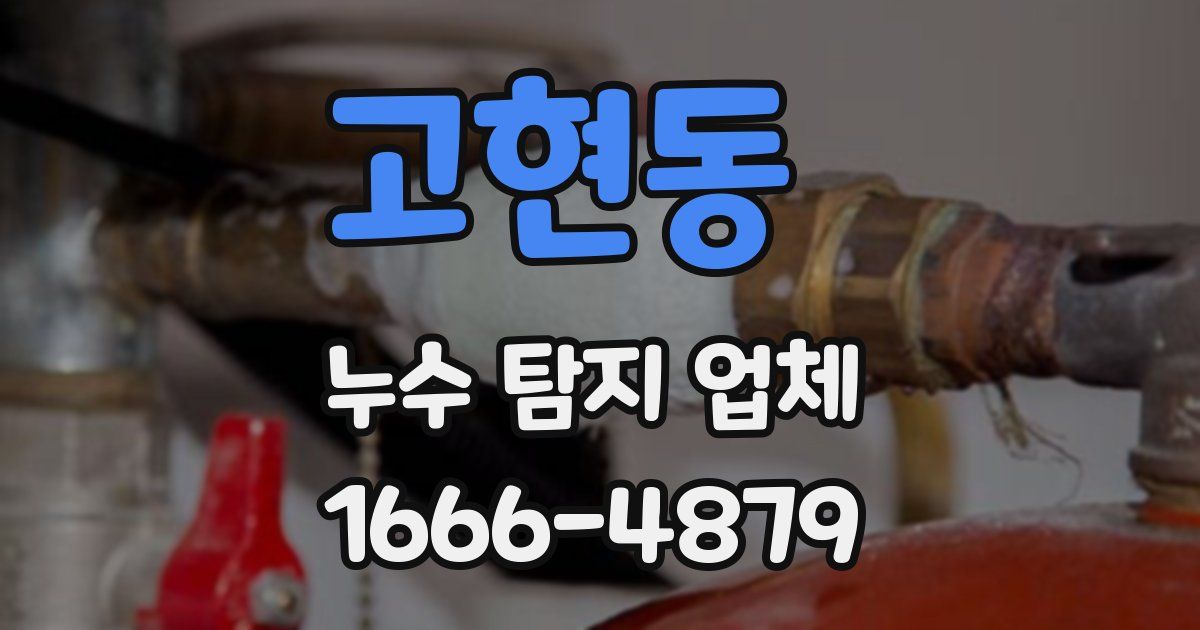 고현동 누수 탐지 업체