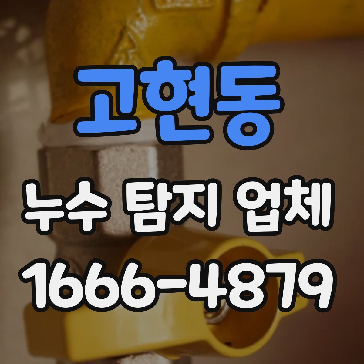 고현동 누수 탐지 업체