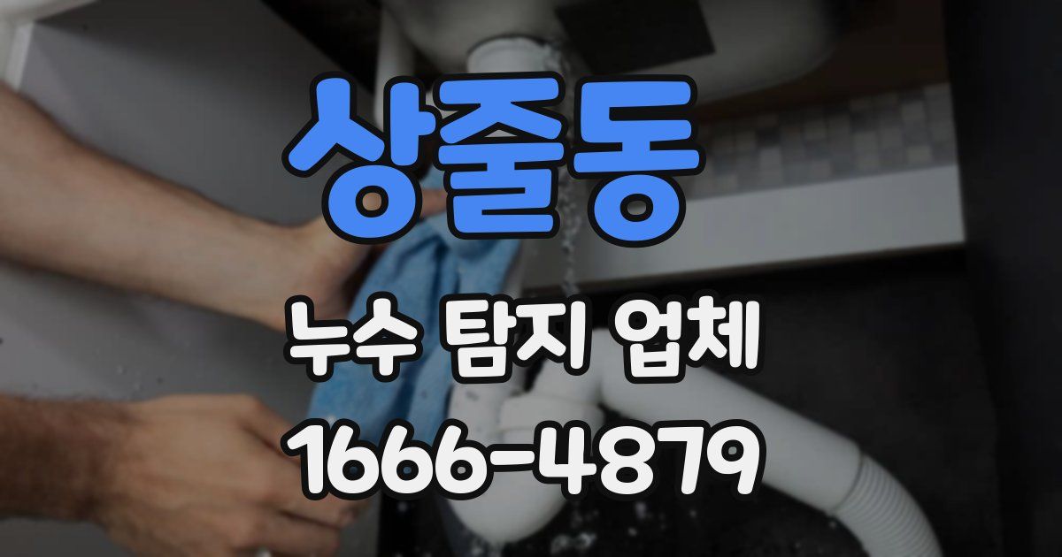 상줄동 누수 탐지 업체