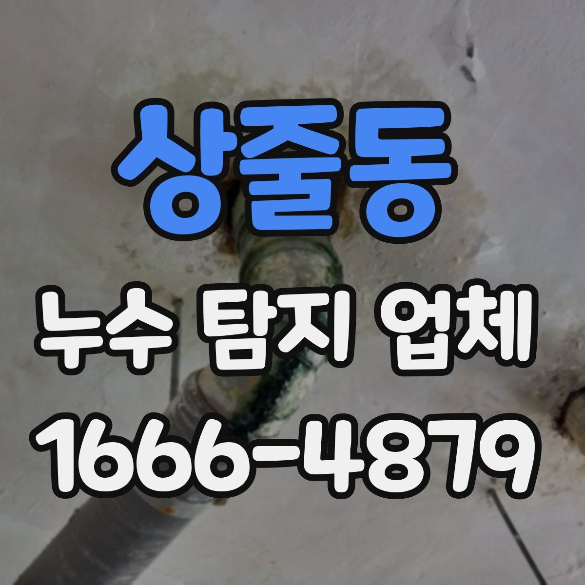 상줄동 누수 탐지 업체