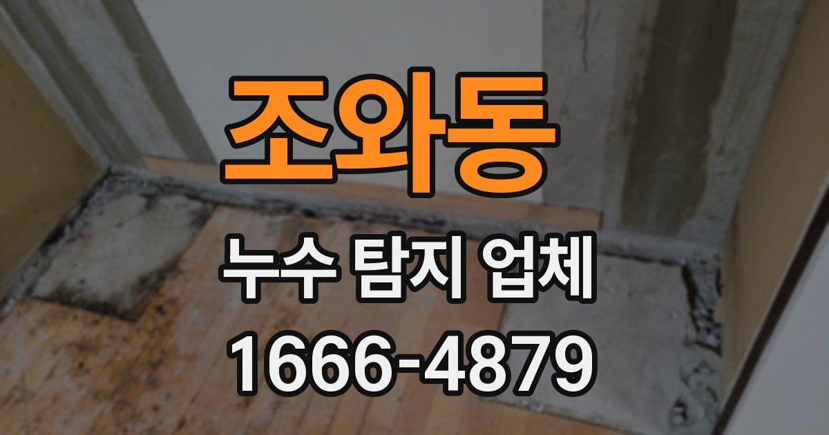 조와동 누수 탐지 업체