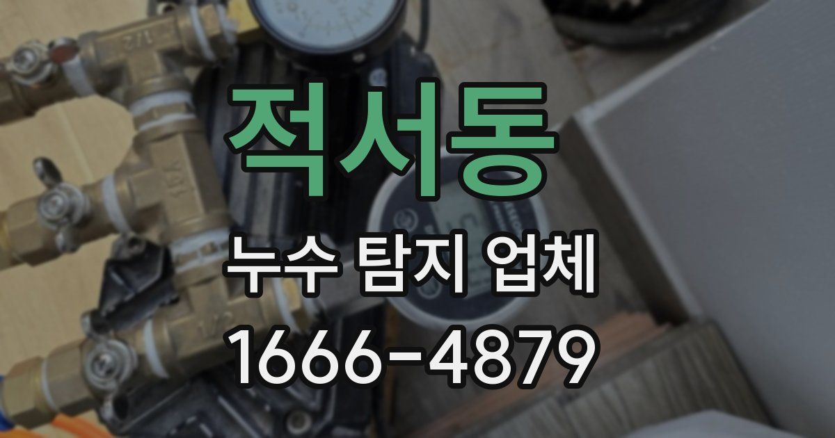 적서동 누수 탐지 업체