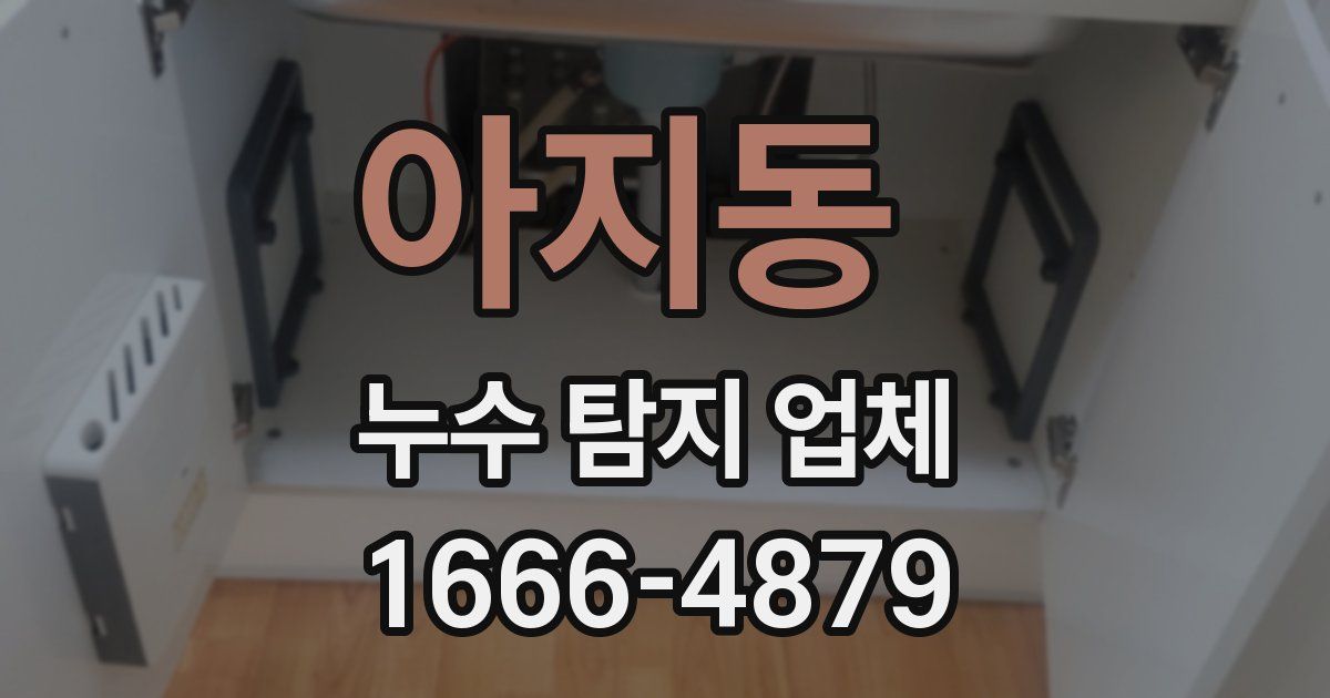 아지동 누수 탐지 업체