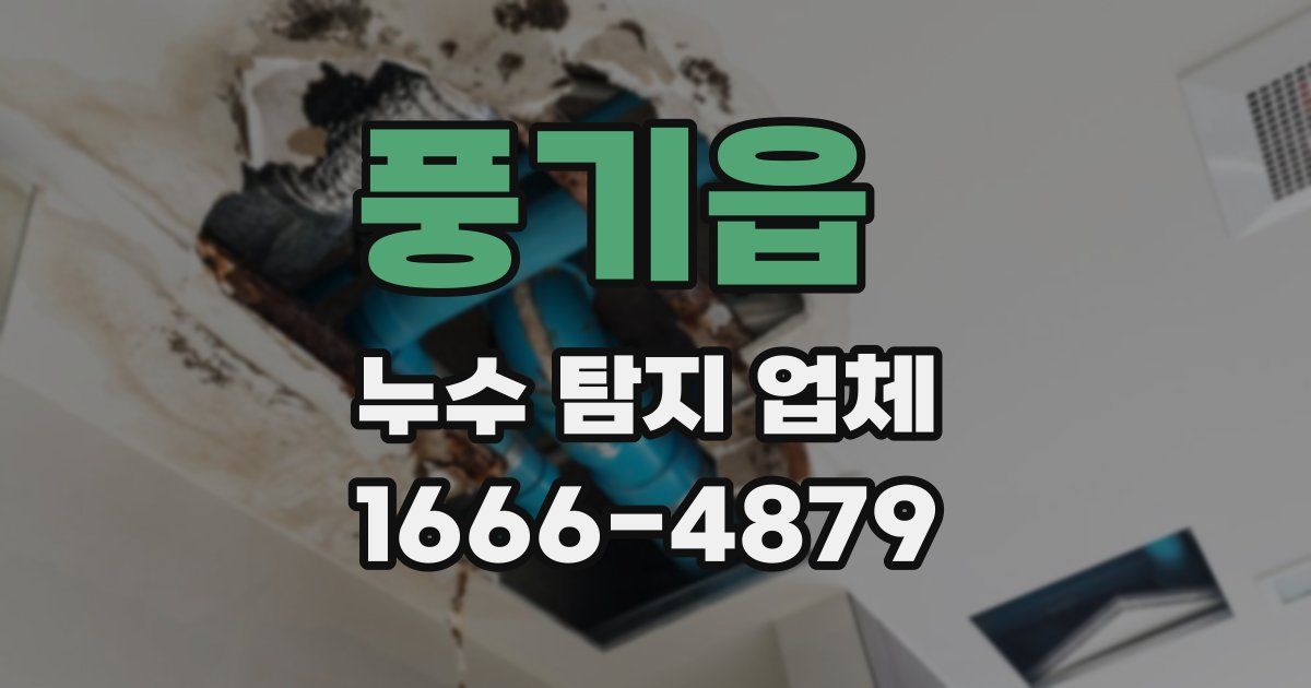 풍기읍 누수 탐지 업체
